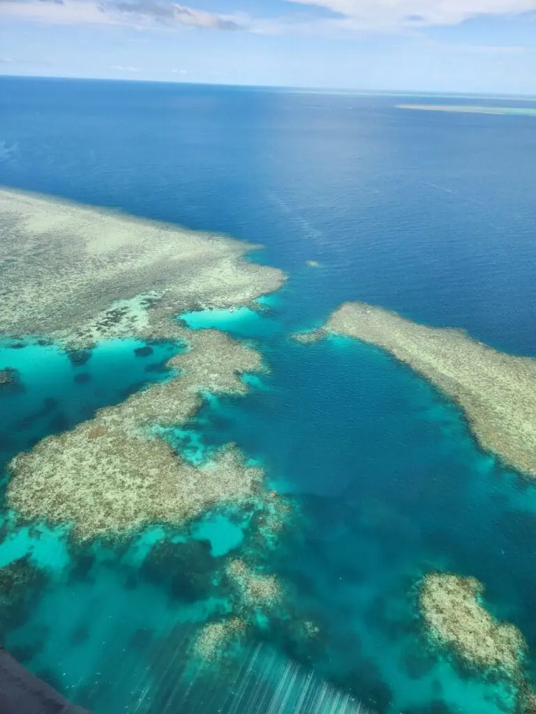 Image #1 from 전지호