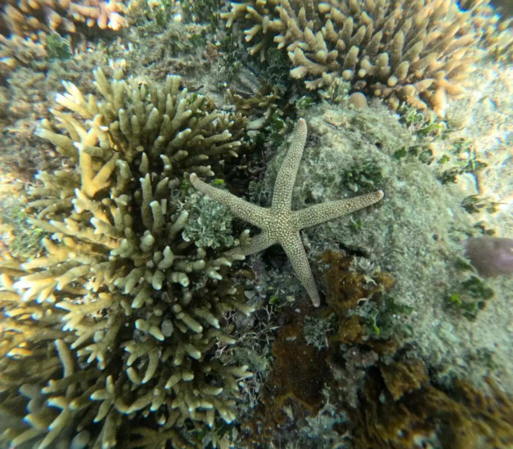 Image #2 from 전지호