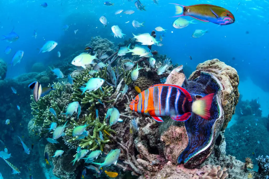 Image #4 from KimJeongsoo 김정수