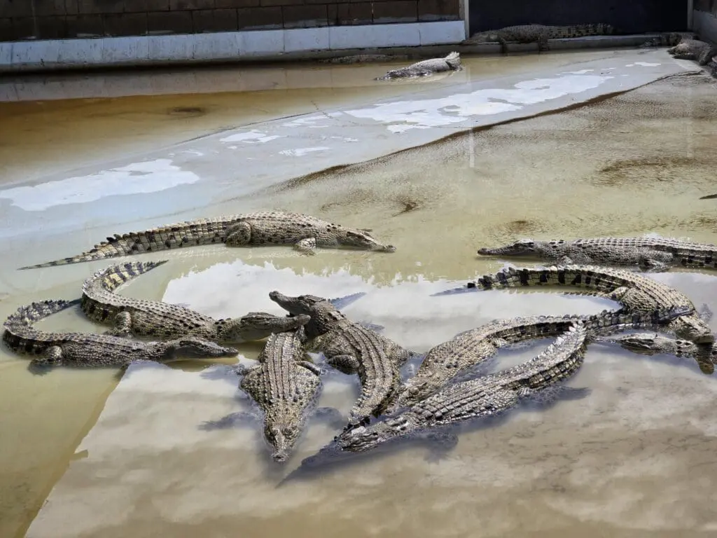 Image #1 from KimJeongsoo