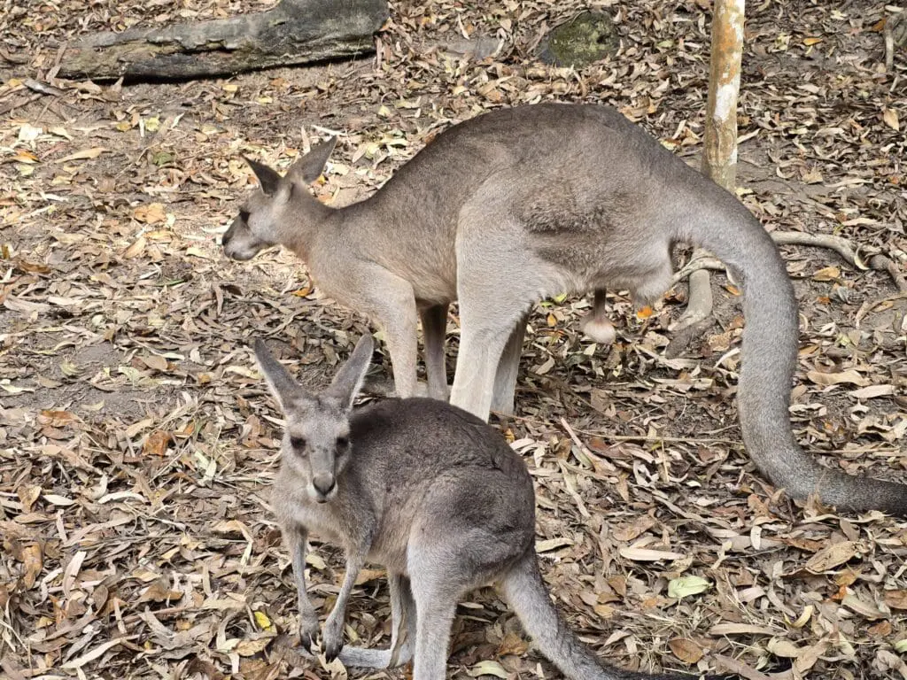 Image #2 from KimJeongsoo