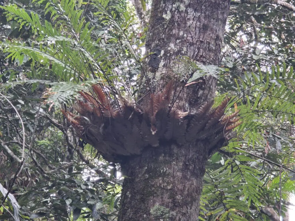 Image #1 from KimJeongsoo 김정수