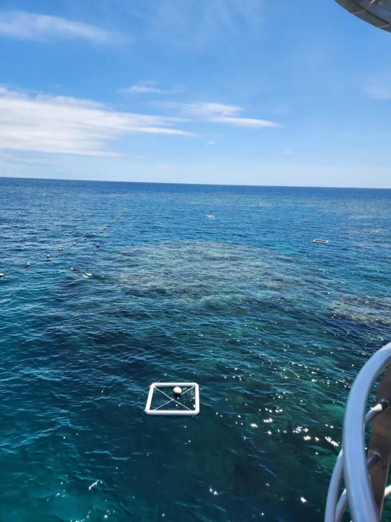 Image #3 from 전지호