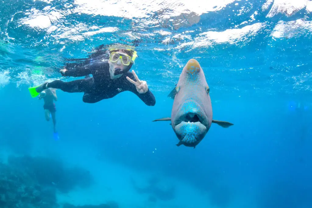 Image #1 from KimJeongsoo 김정수