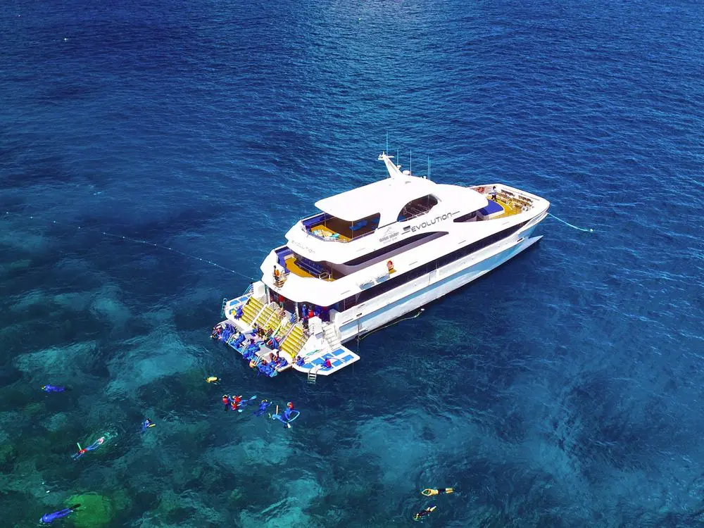 케언즈 다운언더 크루즈 스노쿨링 (최저가! 가성비 굿)