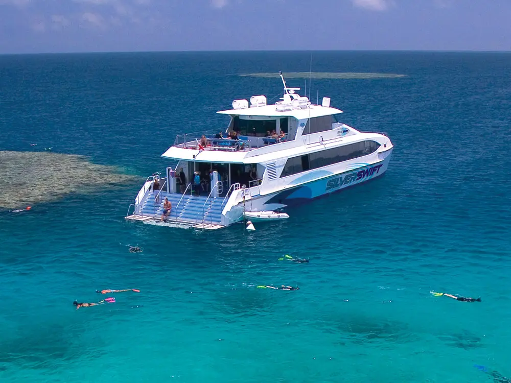 케언즈 실버스위프트 크루즈 (산호초 세곳 방문) 최저가 보장!