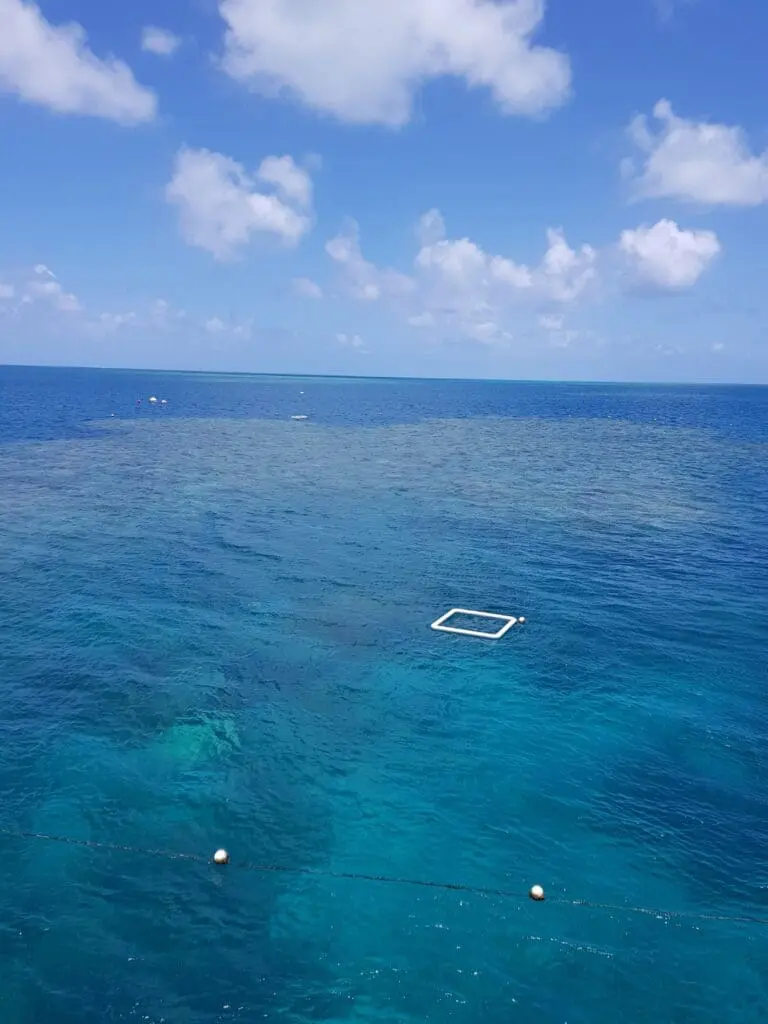 Image #1 from 진호중