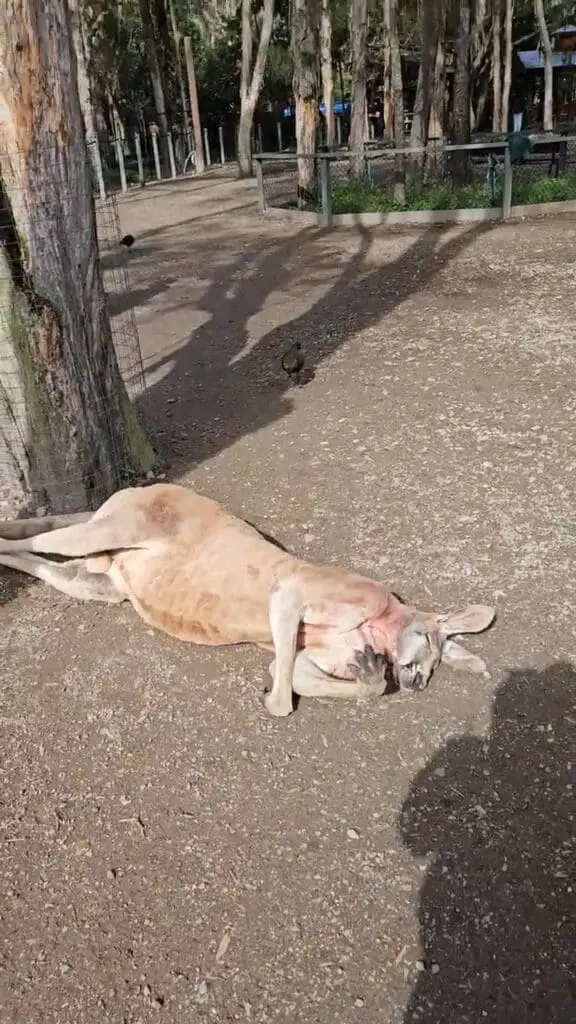 Image #2 from 쑤니