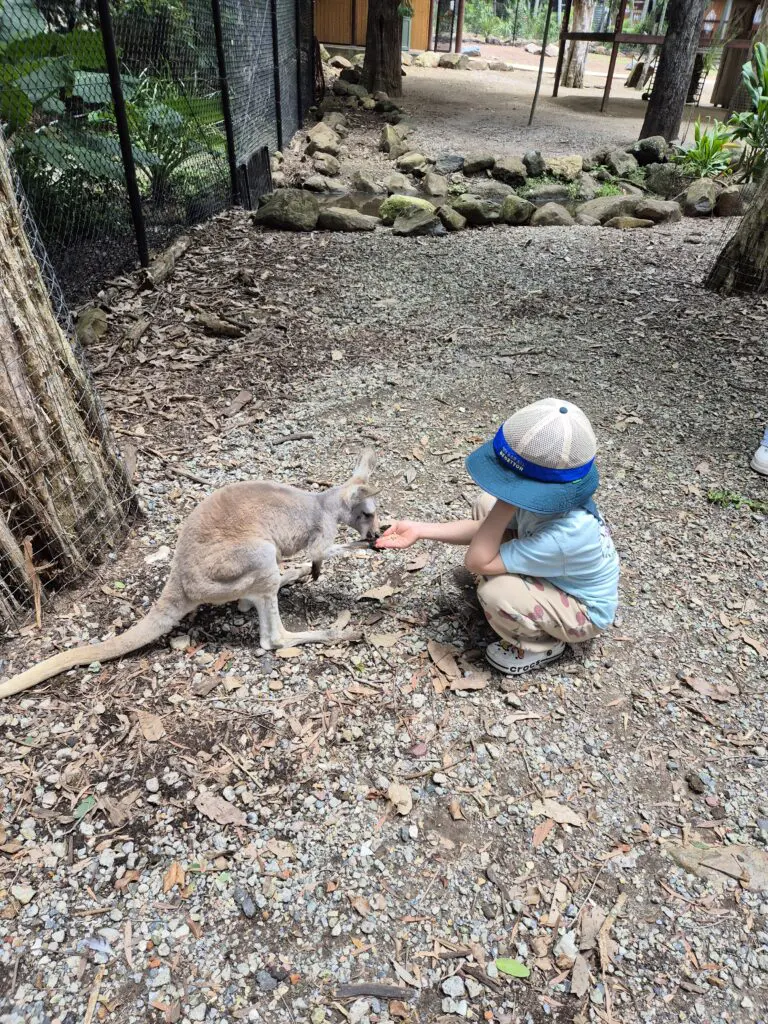 Image #1 from 심수연 Shim suyeon