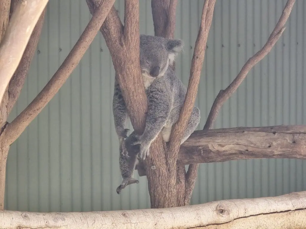 Image #1 from Samuel Chung