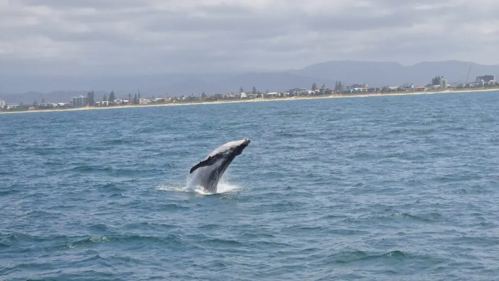 Image #2 from SUNGJIN YOON 윤성진