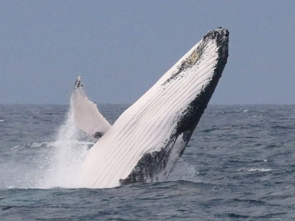 Image #1 from SUNGJIN YOON 윤성진