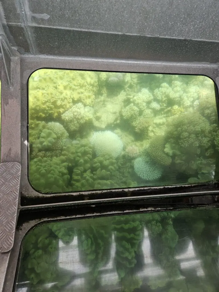 Image #3 from 신주희 JUHEE SHIN