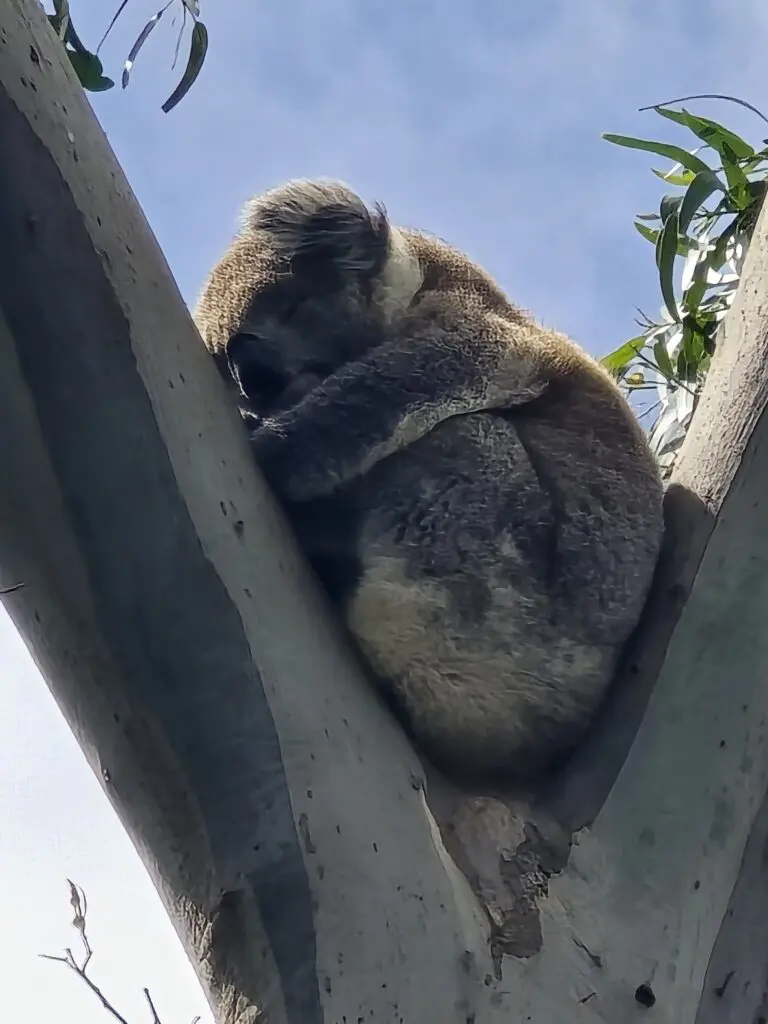 Image #1 from 상범 이