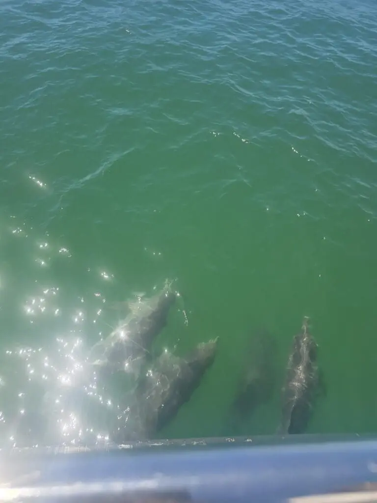 Image #3 from 상범 이