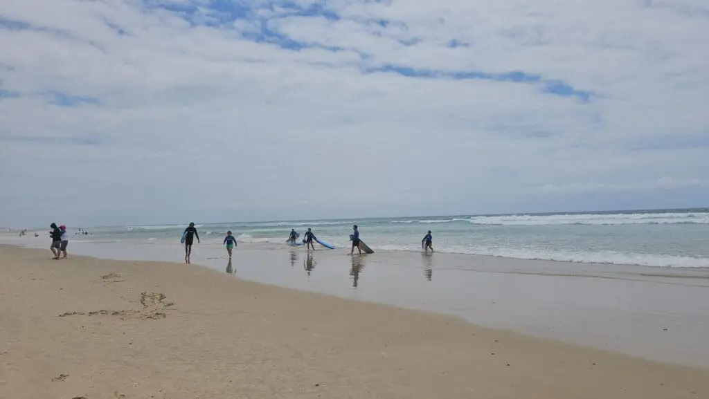 Image #1 from Sue Song