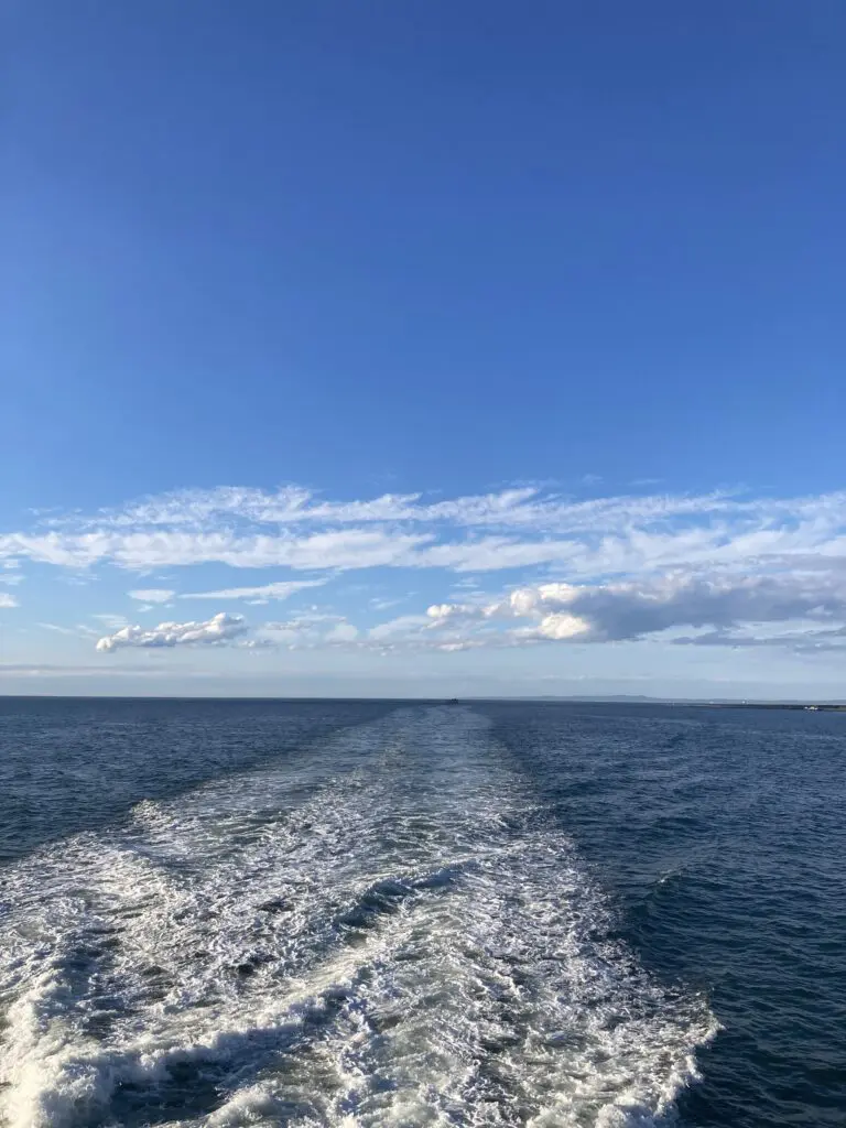 Image #1 from Ayden H