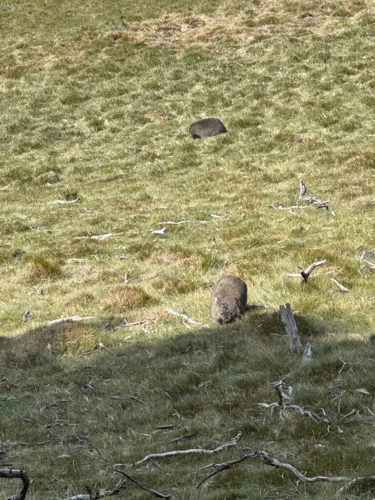 Image #5 from minseo