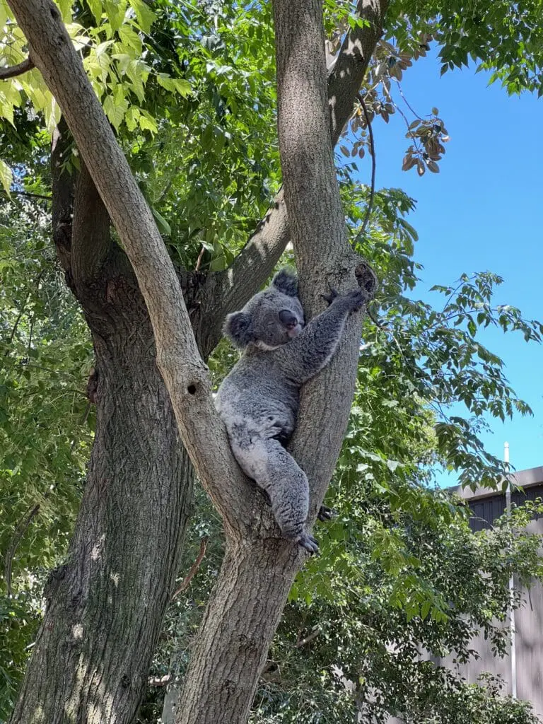Image #2 from yujeong yim 임유정