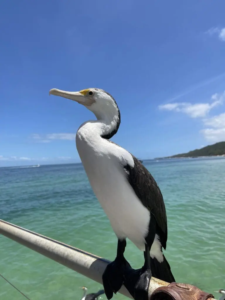 Image #1 from TV 서가네