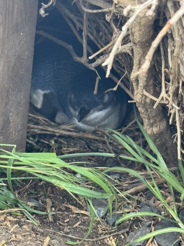 Image #3 from Chihoon Oh