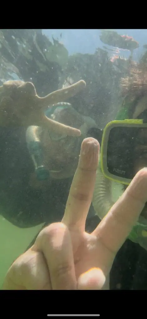 Image #2 from Sohyun An