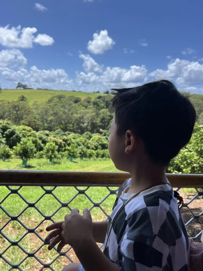 Image #1 from 가린코숏츠 KIM SUNGJUN