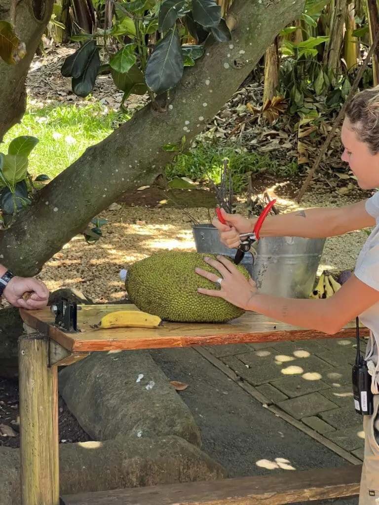 Image #4 from 가린코숏츠 KIM SUNGJUN