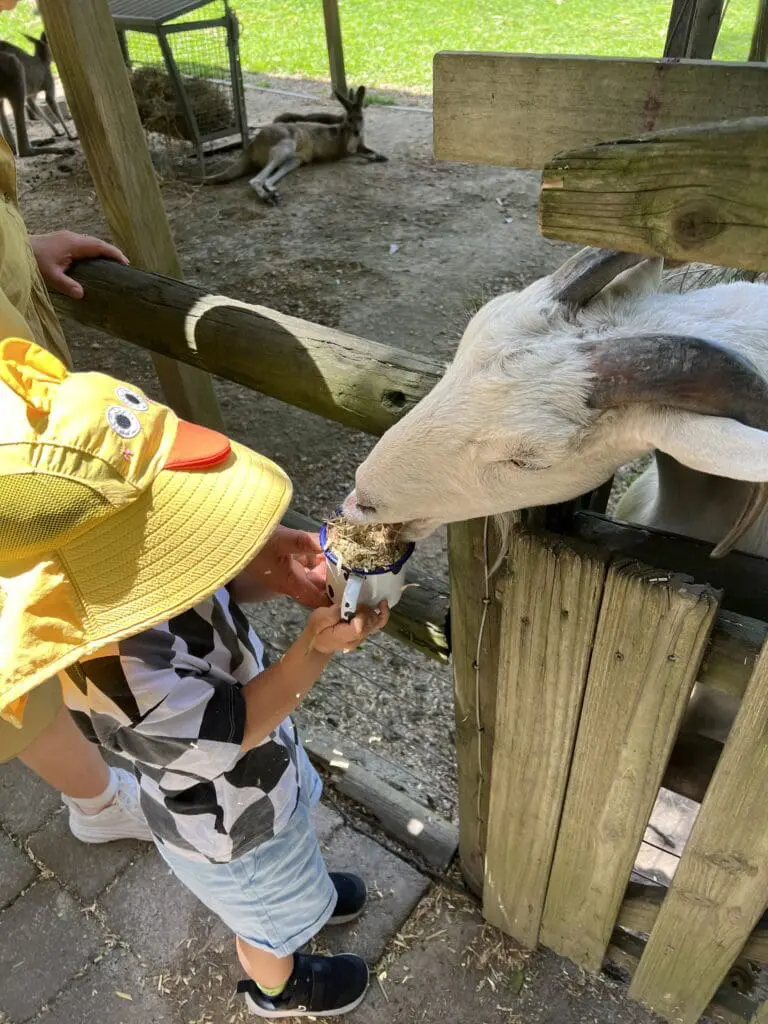 Image #3 from 가린코숏츠 KIM SUNGJUN