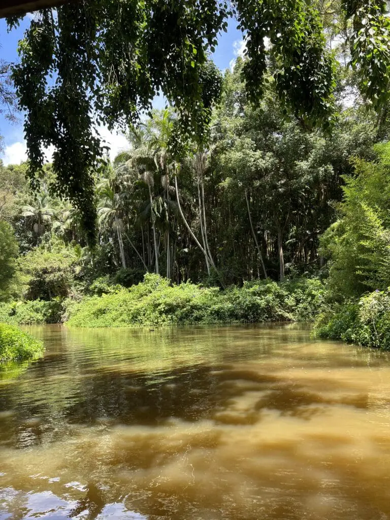 Image #5 from 가린코숏츠 KIM SUNGJUN