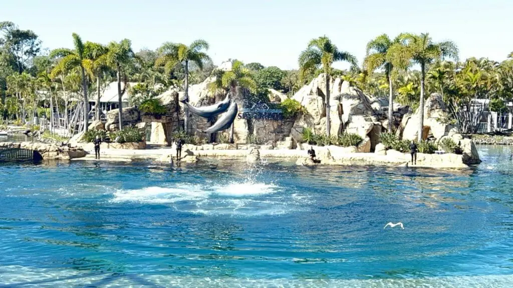 Image #1 from 오한수 Hansoo Oh