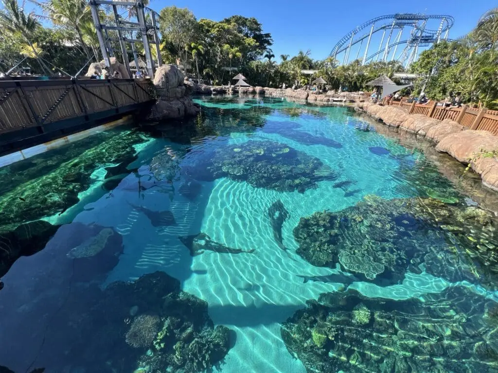 Image #5 from 오한수 Hansoo Oh