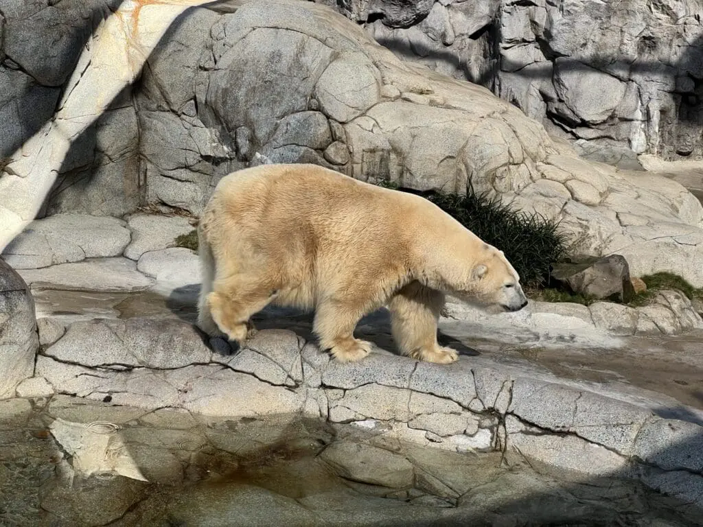 Image #4 from 오한수 Hansoo Oh