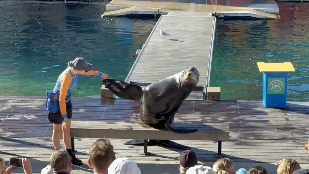 Image #2 from 오한수 Hansoo Oh