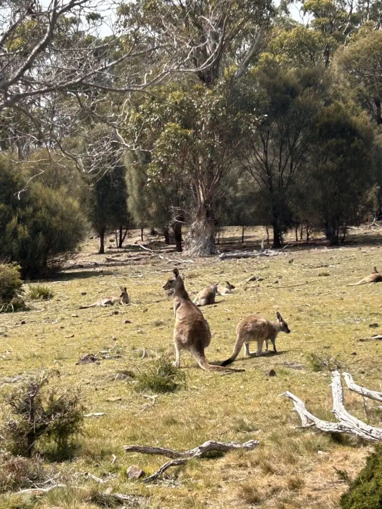 Image #3 from Soyoung Kim