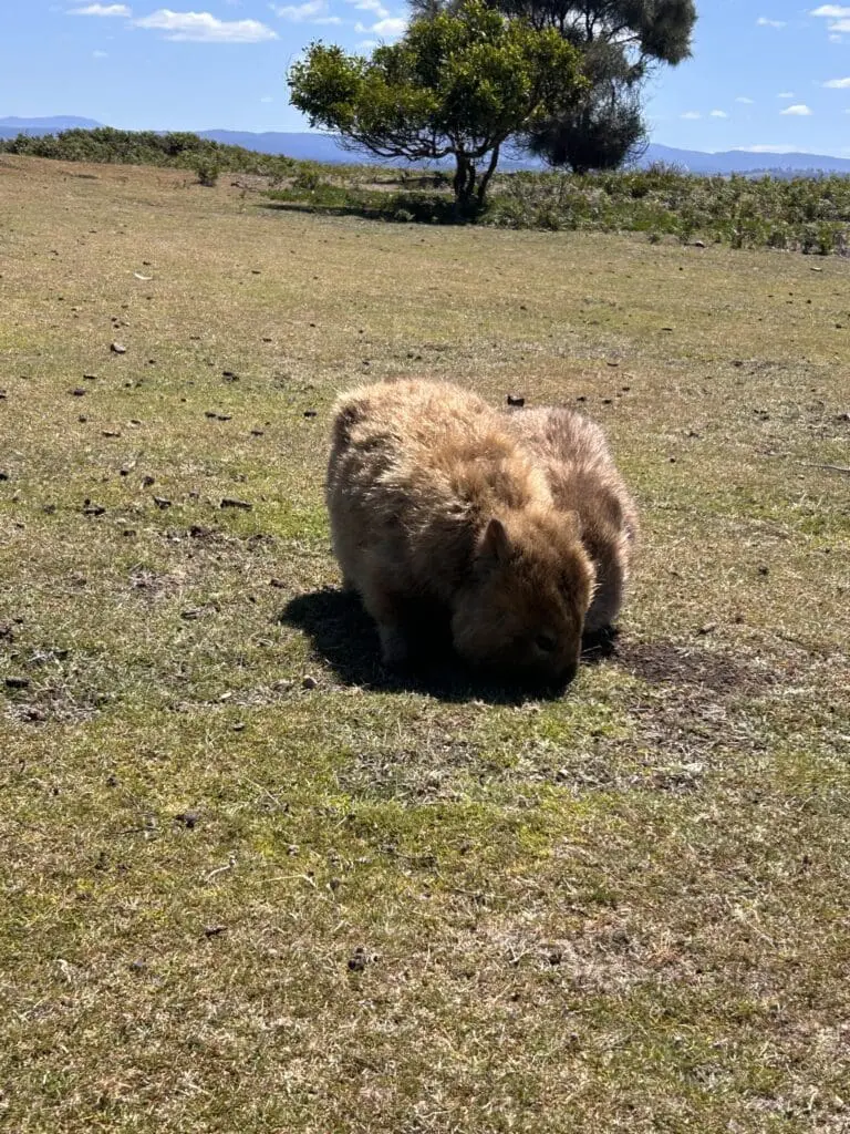 Image #1 from Soyoung Kim