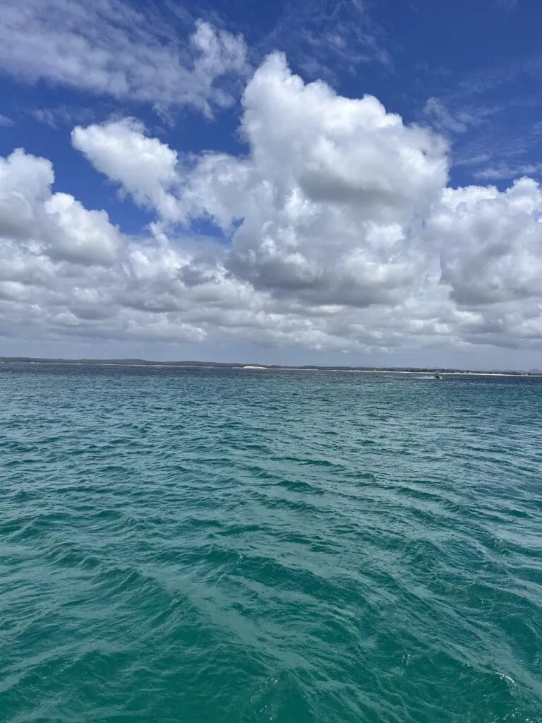 Image #2 from Hajin Lee