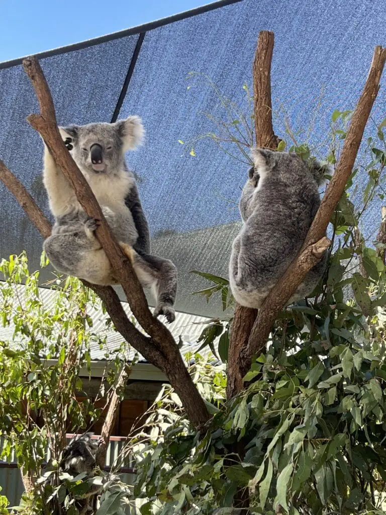 Image #2 from Emily Shin 에밀리