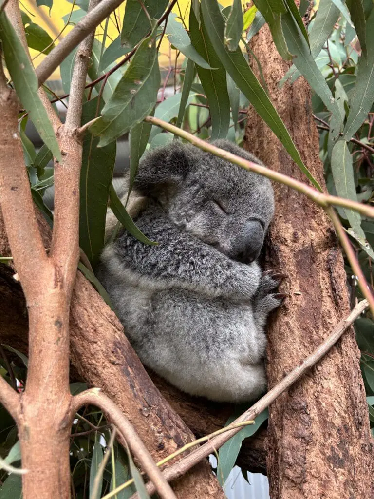 Image #3 from Hajin Lee