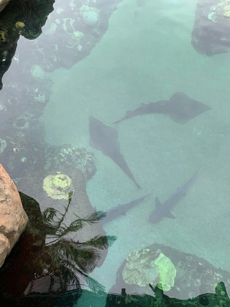 Image #3 from 윤미란 yoon mi ran