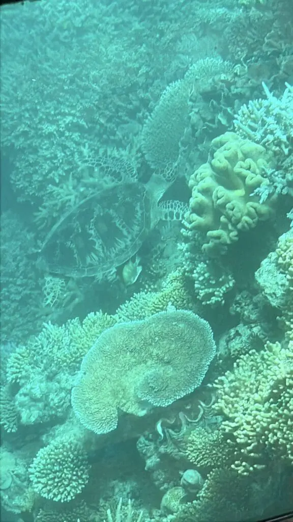 Image #2 from Jumin Park