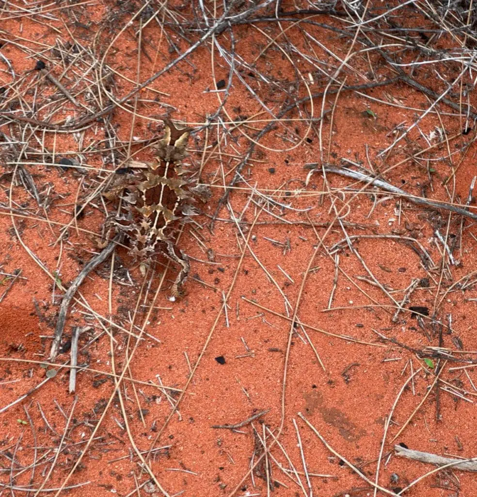 Image #1 from minseo