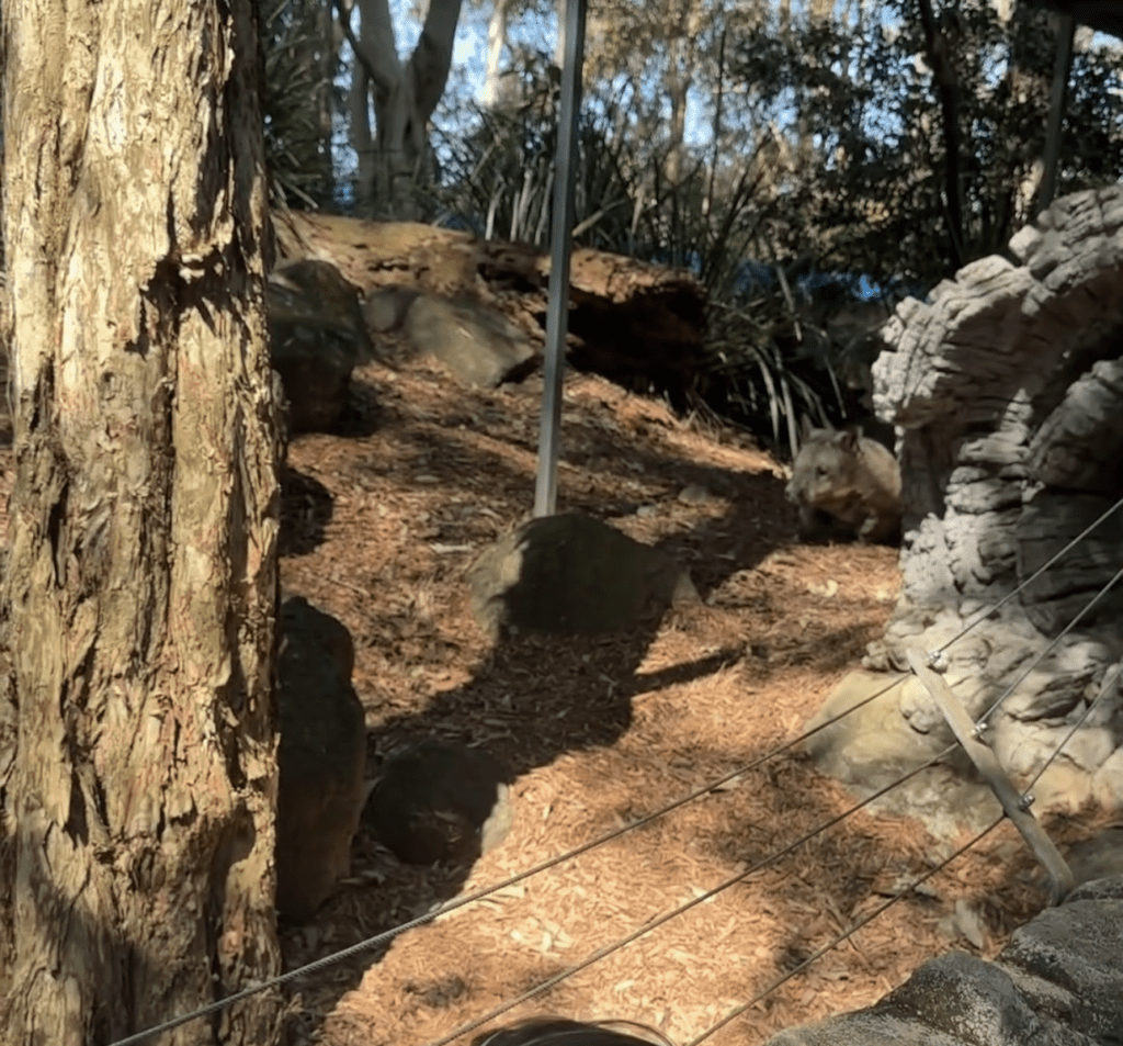 Image #1 from 이슬기 seulkilee