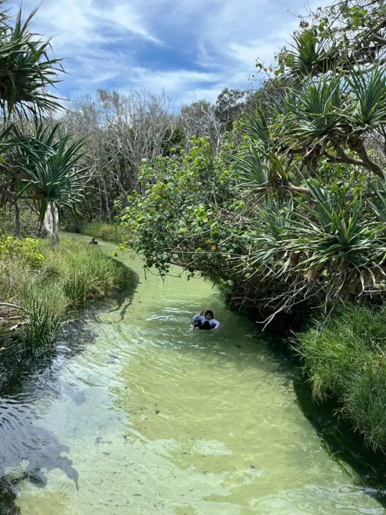 Image #1 from YOUNGJU CHO 조영주