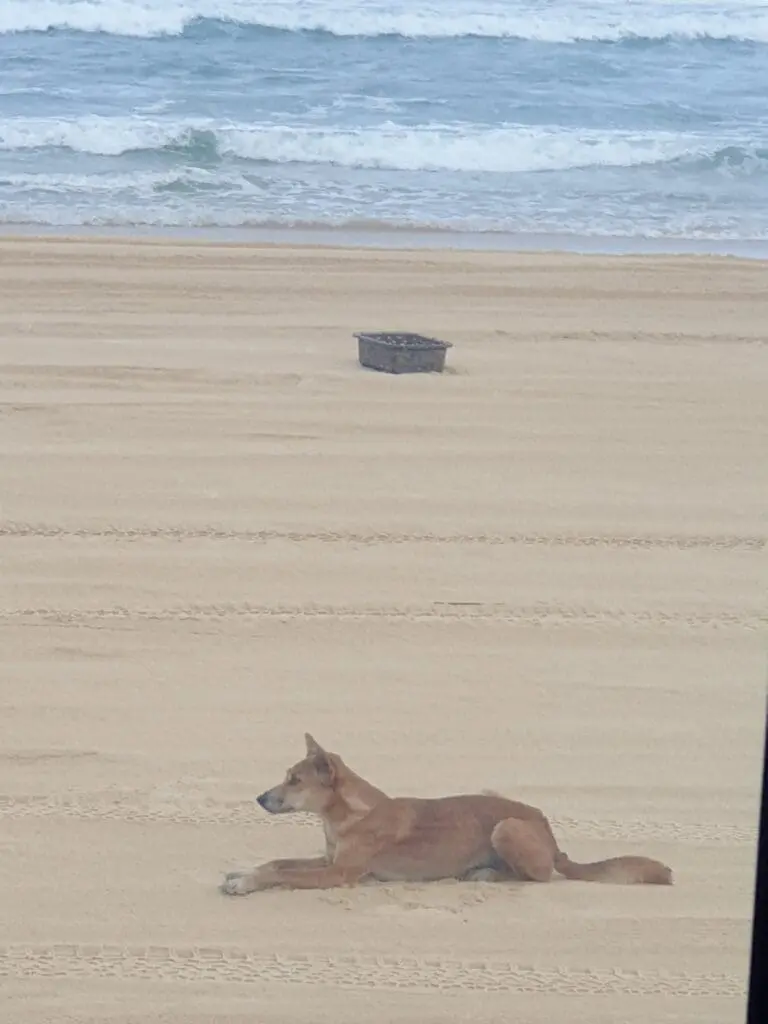 Image #4 from YOUNGJU CHO 조영주