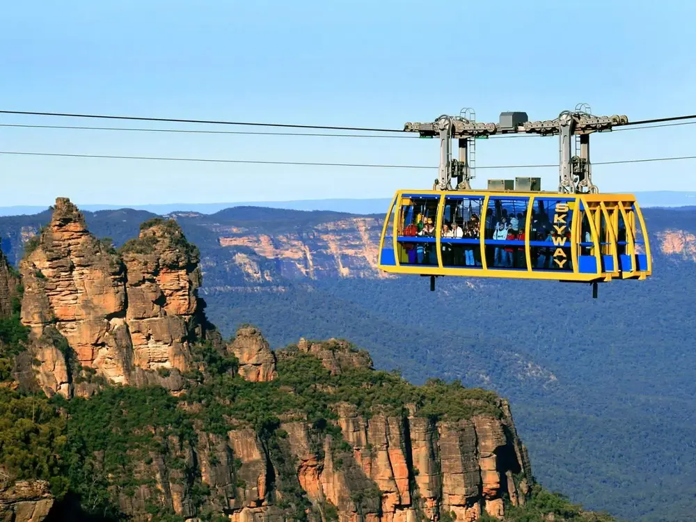 시드니 블루마운틴 + 페더데일 동물원 투어 한인가이드 (필수코스)
