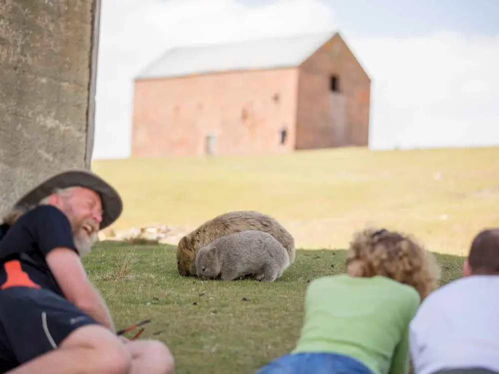 타즈매니아 마리아 아일랜드 투어
