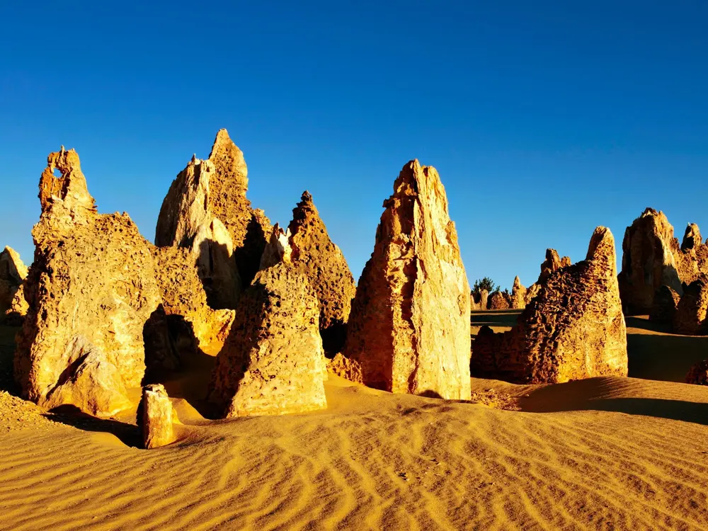 퍼스 피나클스 사막 투어