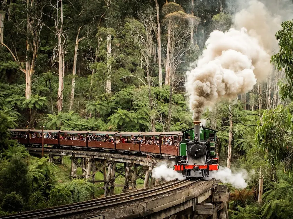멜버른 퍼핑빌리 투어 한인가이드 (필수코스)