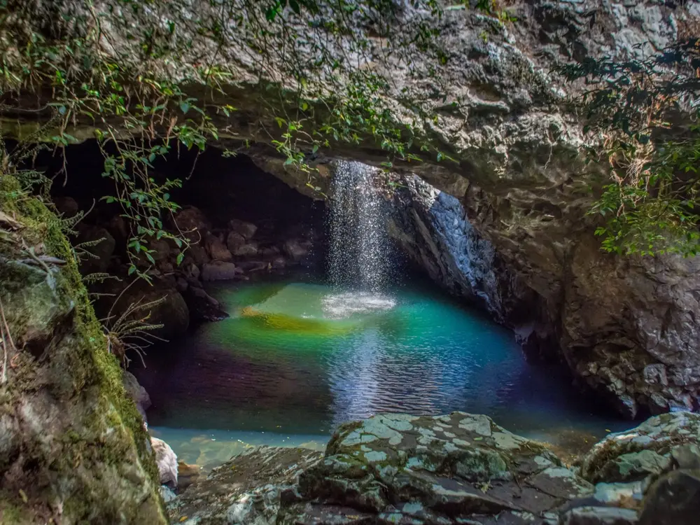 골드코스트 스프링브룩 투어